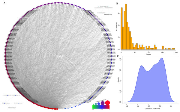 Construction of co-expression network of yellow module-related genes.