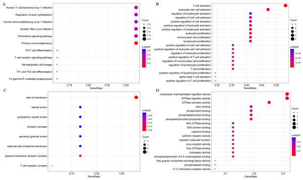 The KEGG pathway and GO enrichment analysis of 18 novel representative immune microenvironment-related genes for CSCC patients.