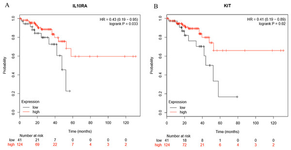 The expression level of two hub genes was significantly associated with prognosis (p-value < 0.05).