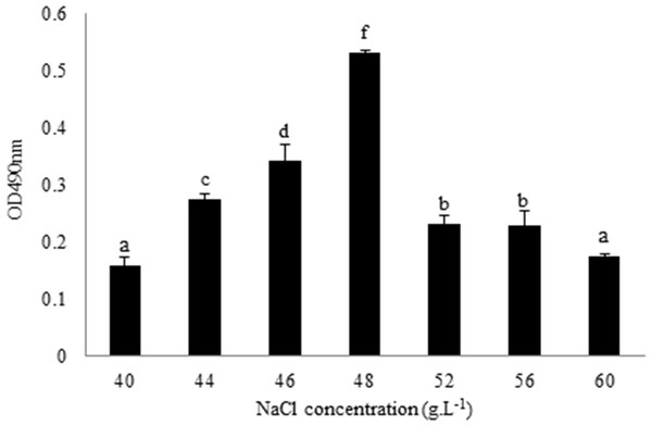 Quantification of L. plantarum RS66CD biofilm at different NaCl concentrations.