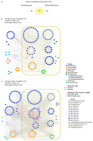 Co-occurrence networks of bacterial community in the Top-weight group and the Bottom-weight group.