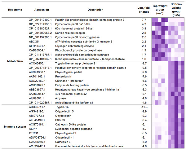 Heatmap representing top ten differentially expressed genes enriched in two main biological categories (i) metabolic and (ii) immune pathways.