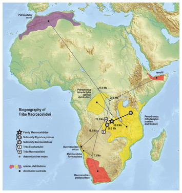 New records of a lost species and a geographic range expansion for ...