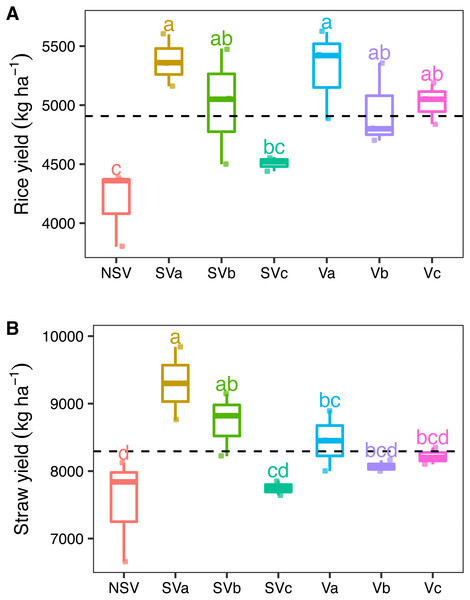 Effects of different levels of nitrogen from Chinese milk vetch with and without straw incorporation into soil on (A) rice and (B) straw yield.