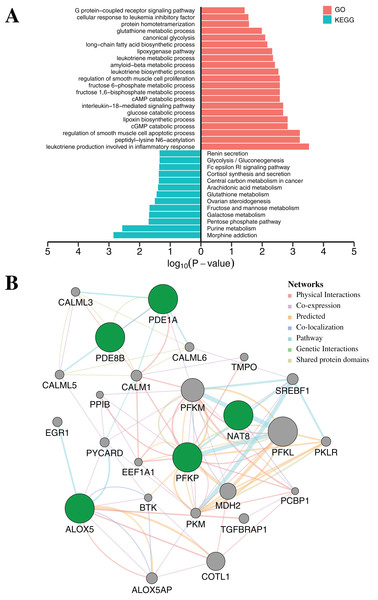 Functional enrichment analysis and protein–protein interaction network by DNA methylation-based diagnostic biomarkers.