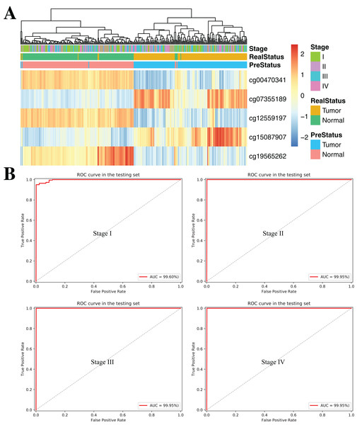 DNA methylation analysis of ccRCC diagnosis at different stages of tumorigenesis.