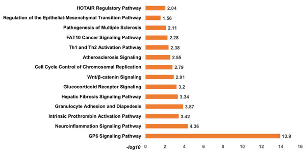 The pathway enrichment analysis of signature miRNA.