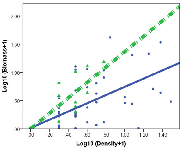 Relationships between log biomass and log density for Corbicula fluminea in lake (•) and peripheral (▴) habitats.