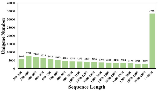 Sequence length distribution of the Luffa unigene library.