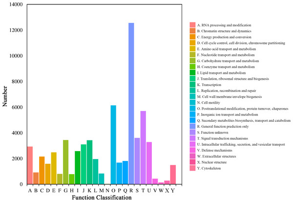 COG function classification of the Luffa unigene library.