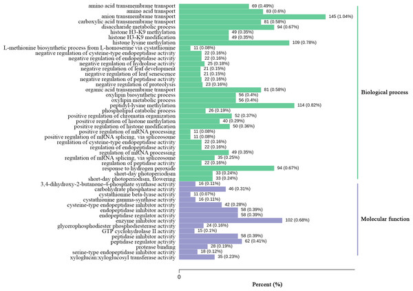 GO enrichment analysis of the DEGs identified in the unigene libraries between two Luffa cultivars.