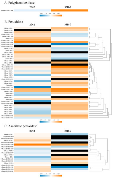 Heatmap of the expression levels of browning-related genes identified in the DEGs.