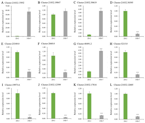 Expression levels of browning-related genes.