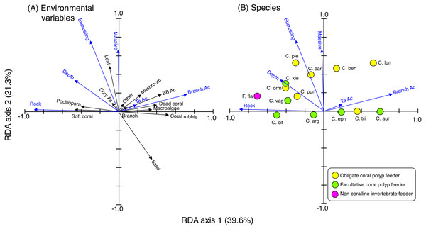 Results of the redundancy analysis (RDA) to explain the relationship between the spatial distribution of the 14 butterflyfish species and environmental characteristics, showing the vectors of environmental variables (A) and species score (B).