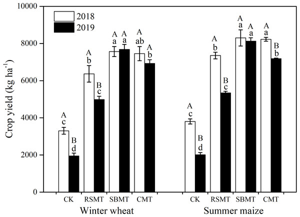Winter wheat and summer maize yields under different fertilizer treatments in 2018 and 2019.