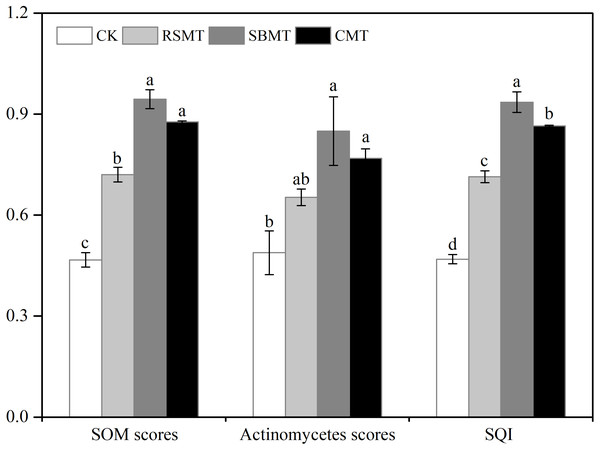 Scored values of MDS indicators (SOM, actinomycetes) and soil quality index.