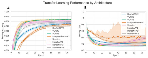 CNN performance with different pre-trained architectures.