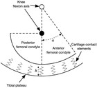 Medial knee cartilage is unlikely to withstand a lifetime of running ...