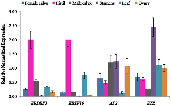 Expression levels of ethylene signal transduction candidate genes (ERDBF3, ERTF10, AP2, and ETR) in different flower structures.