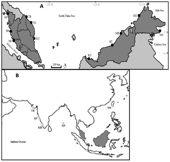 Sampling locations of Thunnus tonggol along the Malaysian coastal waters (A) and additional samples (B). (Modified from source: http://www.supercoloring.com/coloring-pages/malaysia-map).