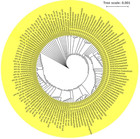 Genomic Diversity And Evolution, Diagnosis, Prevention, And ...