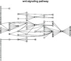 Identifying disease-associated signaling pathways through a novel ...