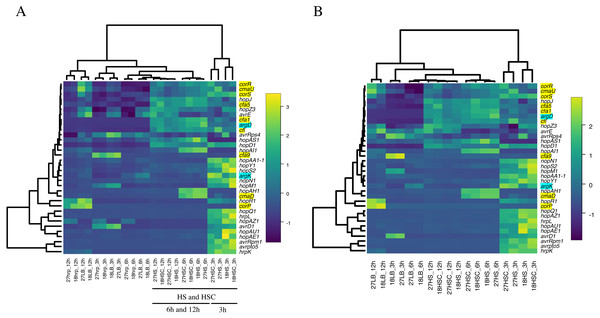 Heat map constructed from the expression level of virulence genes of Psa6 under each culture condition.