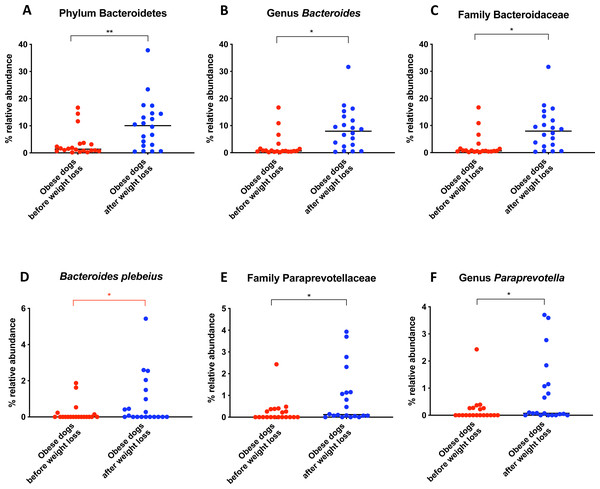 Relative abundance of bacterial populations belonging to the phylum Bacteroidetes detected in fecal samples of obese dogs that changed after weight loss.