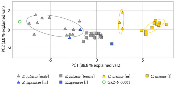 Mandibular PCA results comparing PC1 and PC2.