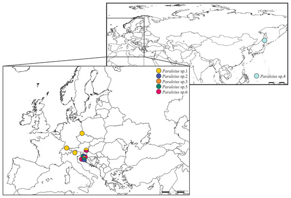 Maps with sampling sites of Paraleius species for the present study.
