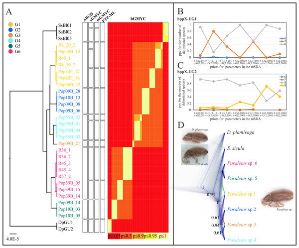 Species delimitation analyses (A) based on single and (B–D) multi locus data.