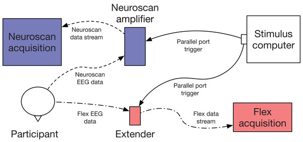 Flex validation setup schematic.