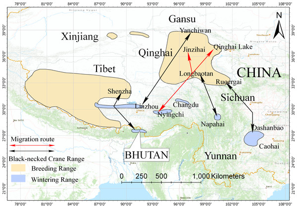 Distribution and migration routes of the black-necked cranes.