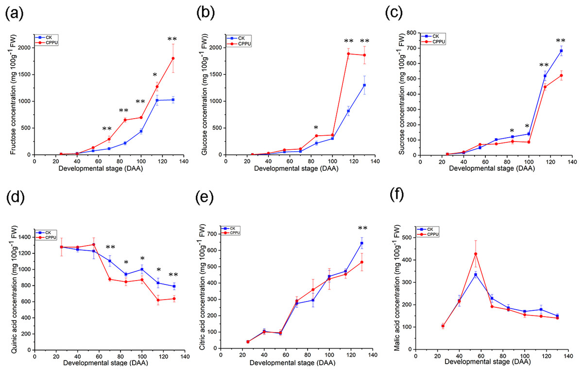 Correlation between fruit weight and nutritional metabolism during ...