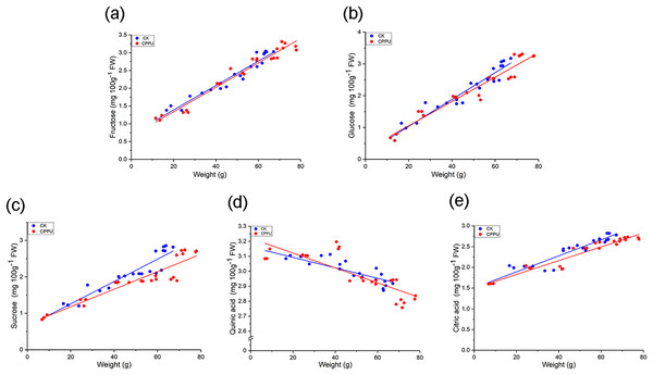 Regression analysis between weight and the quinic acid (A), citric (B), fructose (C), glucose (D) and sucrose (E) concentration of ‘Hongyang’ kiwifruit.
