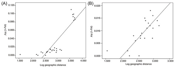 Linear regression established between genetic distance based on microsatellite data and log-transformed geographic distance from all localities (A) and from Atlantic localities (B).