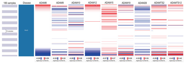 Copy number analysis of distinct ADAMs genes in PAAD (UCSC Xena).