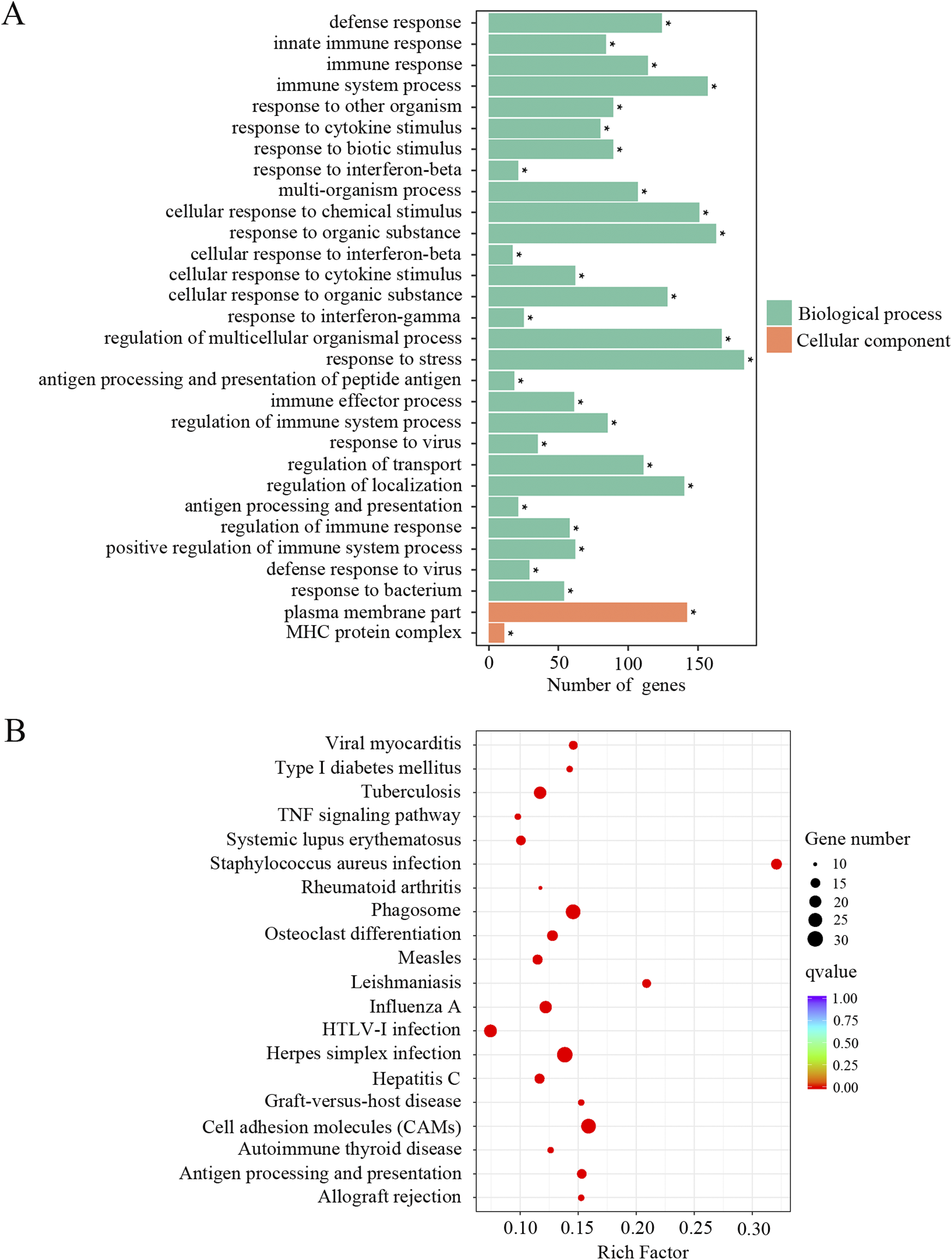 Transcriptomic Analysis Highlights Cochlear Inflammation Associated With Age Related Hearing Loss In C57bl 6 Mice Using Next Generation Sequencing Peerj