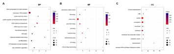 Comparing transcriptome profiles of human embryo cultured in closed and ...