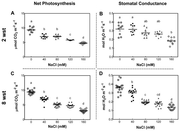 Net photosynthesis and stomatal conductance in salt-stressed plants.
