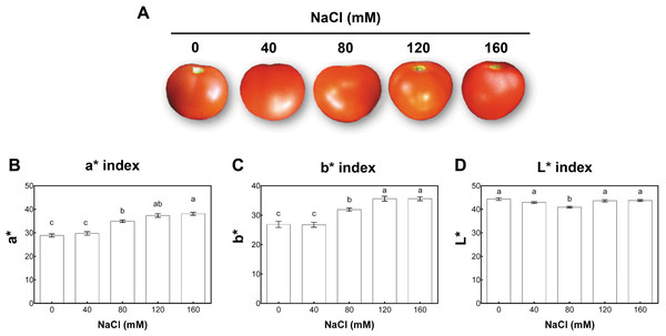 Colorimetric analysis of fruits from salt-stressed plants.