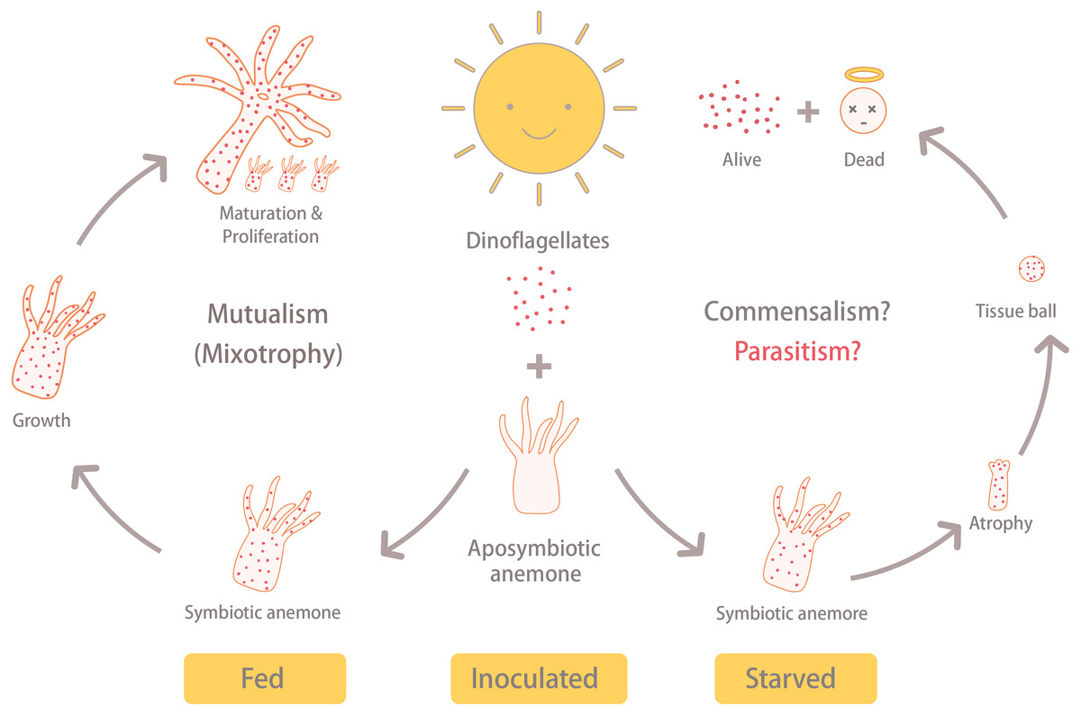 A shift away from mutualism under food-deprived conditions in an ...