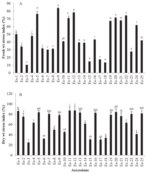 Effect of salt stress on biomass of E. sativa accessions (A) Fresh weight stress index (B) dry weight stress index.