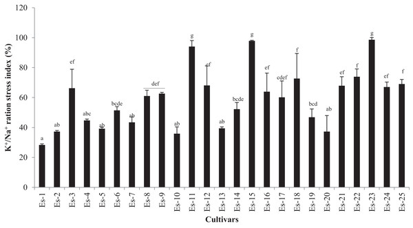 K+/Na+ ratio stress index of Eruca sativa accessions.