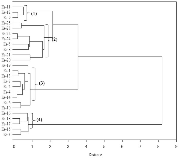 A dendrogram depicting the clustering of 25 Eruca sativa accessions based on Euclidean distance of salt stress tolerance-related traits.