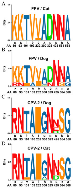 Sequence logos showing the amino acid usage in the VP2 of Carnivore protoparvoviruses.