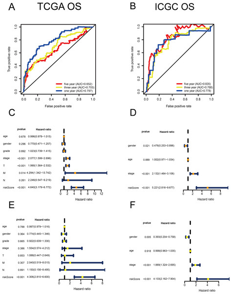 Validation of the risk scores based on the metabolism-related gene (MRG) signature comprising nine genes.