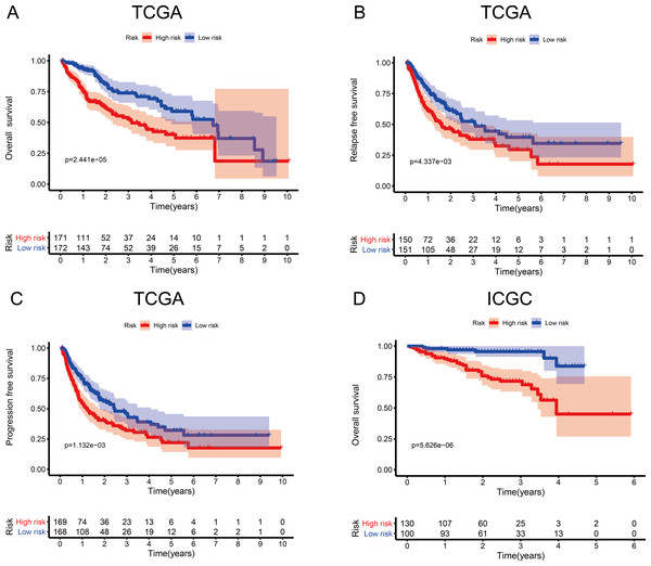 Survival probability based on the metabolism-related gene (MRG) signature comprising nine genes.