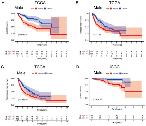 Association between survival and the metabolism-related gene (MRG) signature comprising nine genes, in male hepatocellular carcinoma patients.