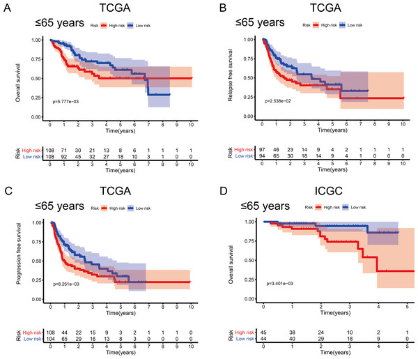 Association between survival probability and the metabolism-related gene (MRG) signature comprising nine genes, in hepatocellular carcinoma patients aged ≤ 65 years.